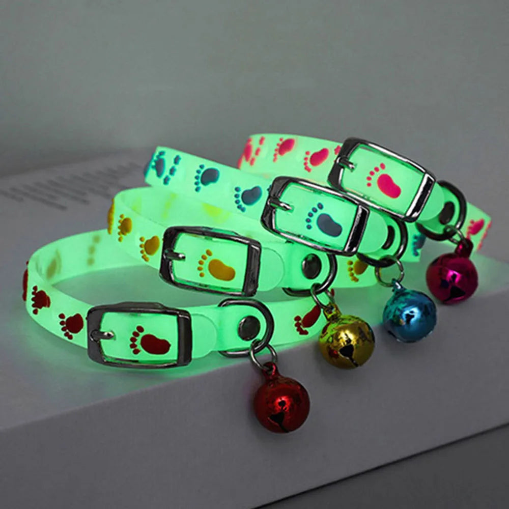Collier Lumineux pour Chat – Fluorescent en Silicone avec Clochette – Anti-Perte pour Chatons, Chats